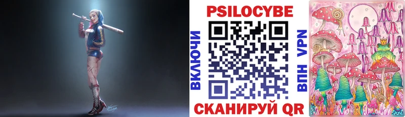 площадка какой сайт  Тара  Псилоцибиновые грибы MAGIC MUSHROOMS 