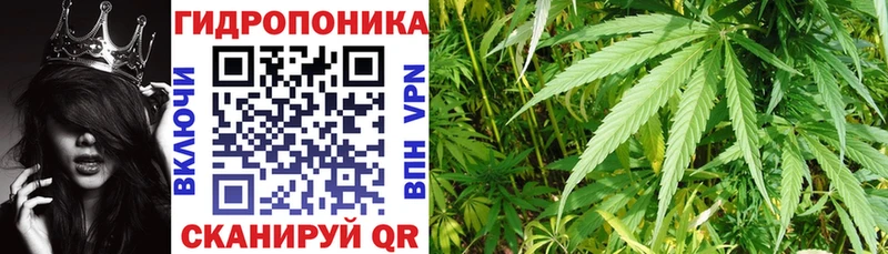 гидра ТОР Тара Марихуана VHQ цена